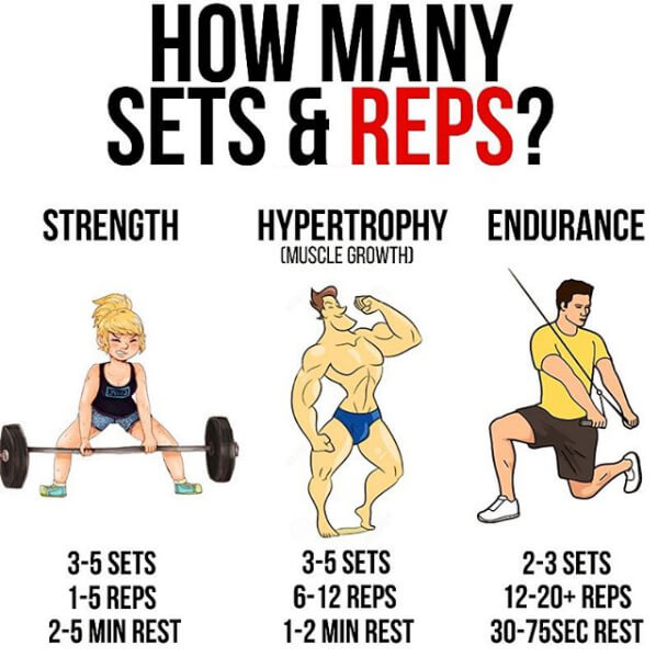 Indtil nu patrulje Afgang til How Many Sets & Reps? For Strength, Hypertrophy or Endurance! - Yeah We  Workout ! - Workouts, Exercises & More