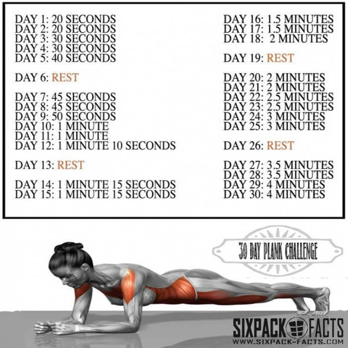 30 Day Plank Challenge - Healthy Training For Sixpack Body Type - Yeah ...
